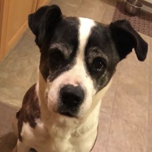 Meet your Posher, Linda